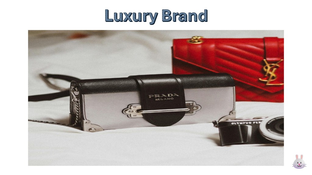 สินค้าแบรนด์หรู (Luxury Brand)